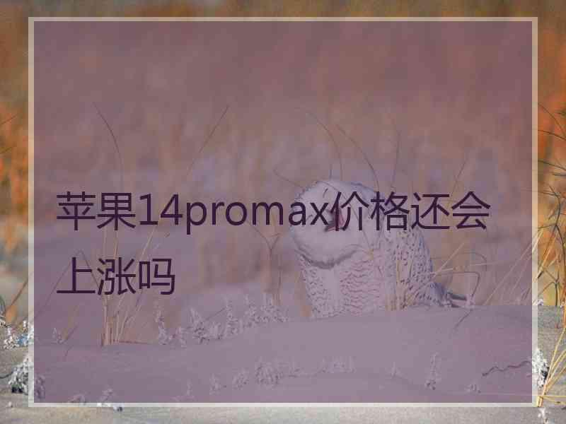 苹果14promax价格还会上涨吗