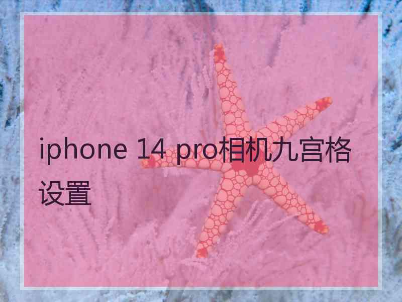 iphone 14 pro相机九宫格设置