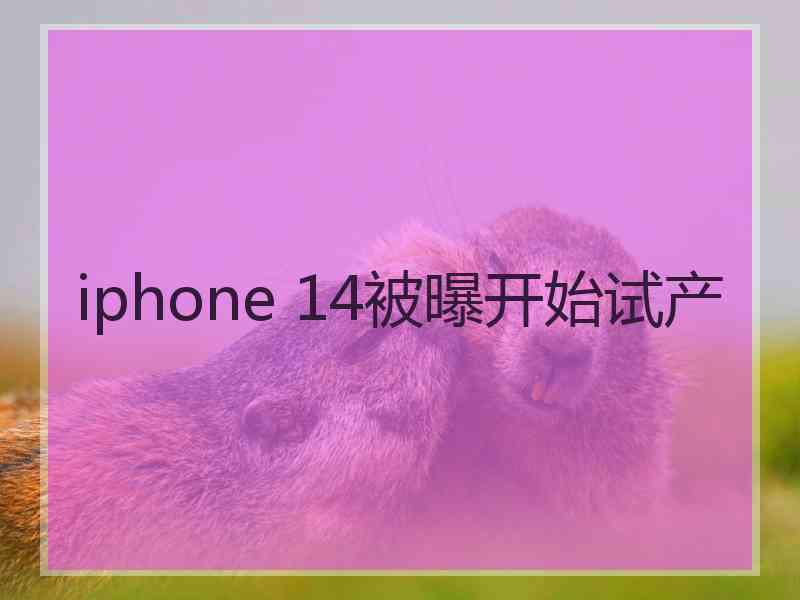 iphone 14被曝开始试产