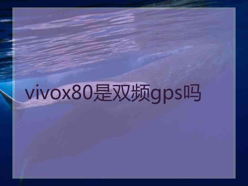 vivox80是双频gps吗