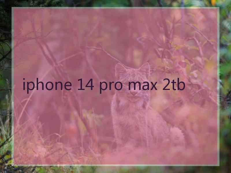 iphone 14 pro max 2tb