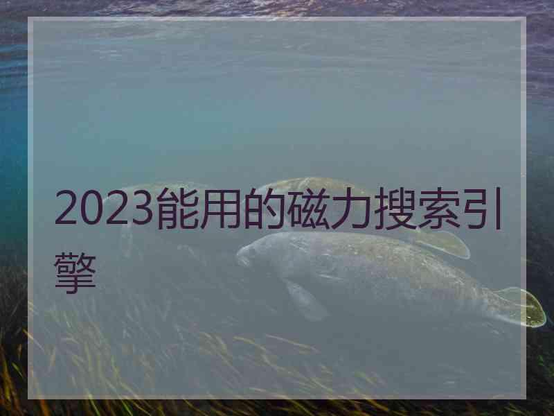 2023能用的磁力搜索引擎