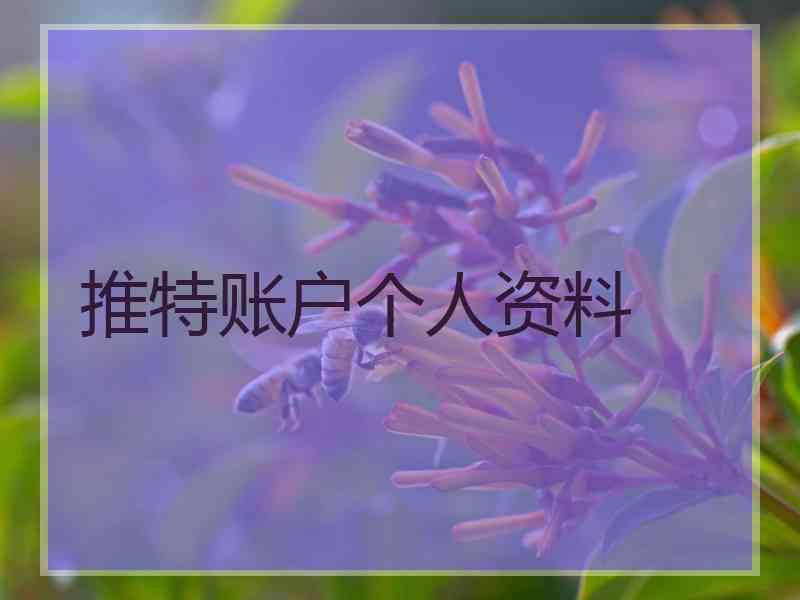 推特账户个人资料