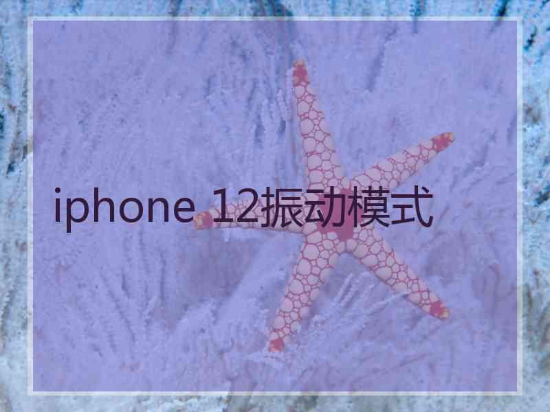 iphone 12振动模式