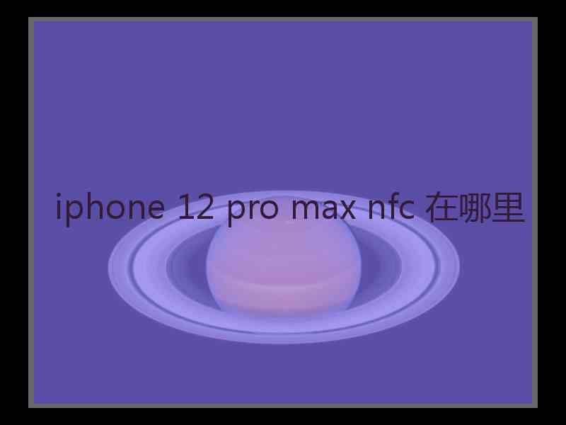 iphone 12 pro max nfc 在哪里