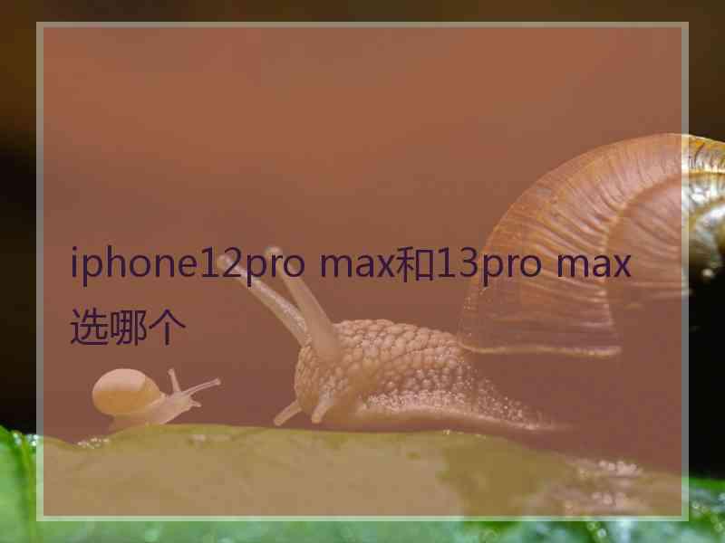 iphone12pro max和13pro max选哪个