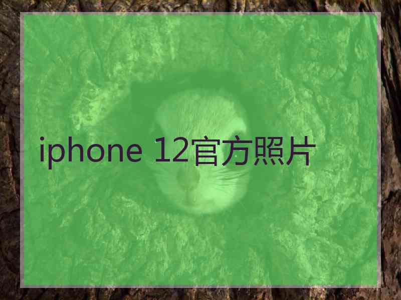 iphone 12官方照片