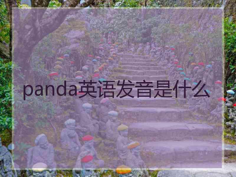 panda英语发音是什么