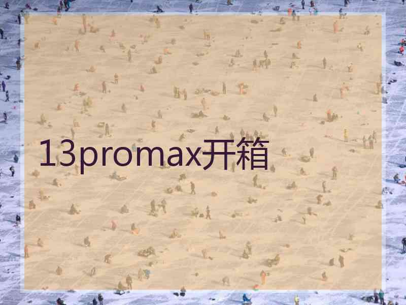 13promax开箱