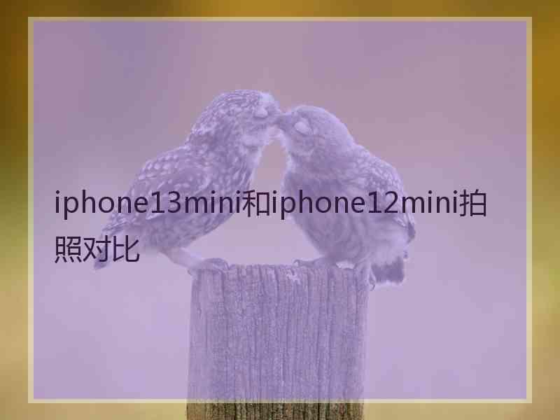 iphone13mini和iphone12mini拍照对比