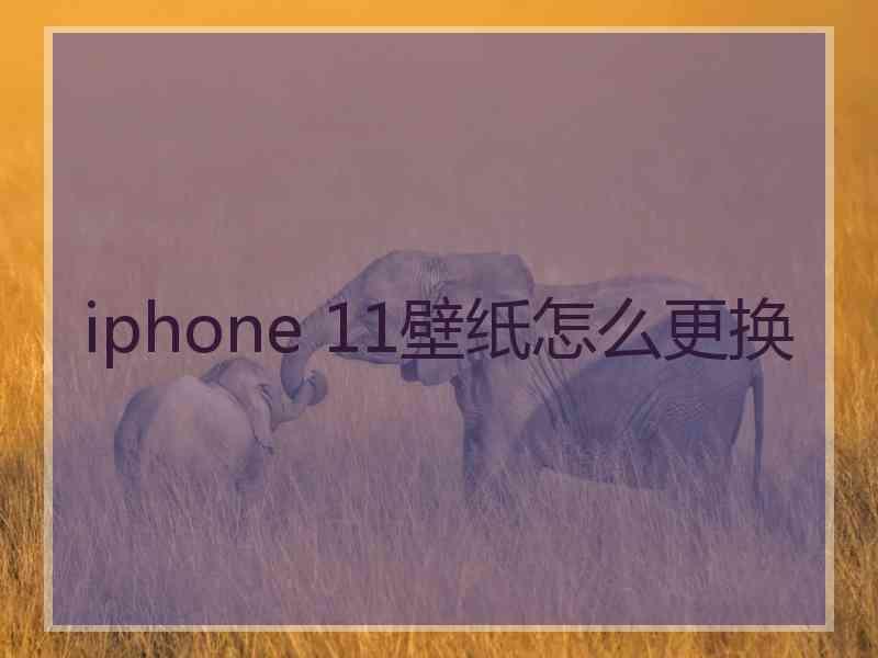 iphone 11壁纸怎么更换