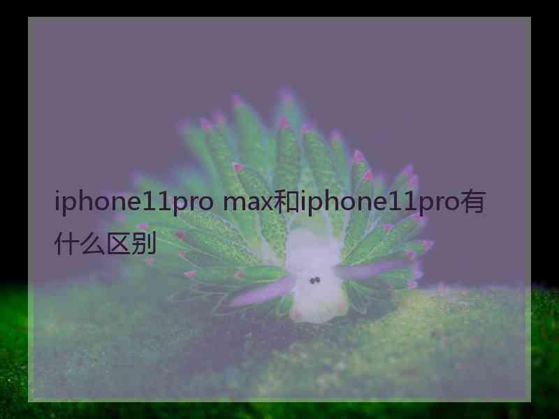 iphone11pro max和iphone11pro有什么区别