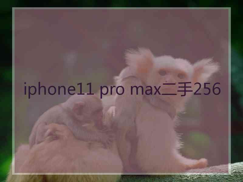 iphone11 pro max二手256