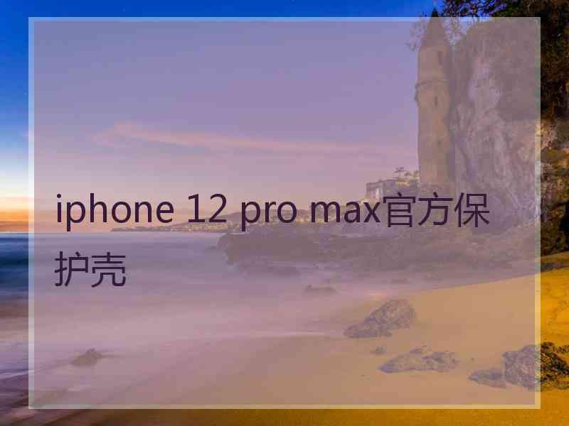 iphone 12 pro max官方保护壳