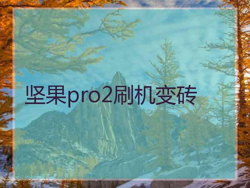 坚果pro2刷机变砖