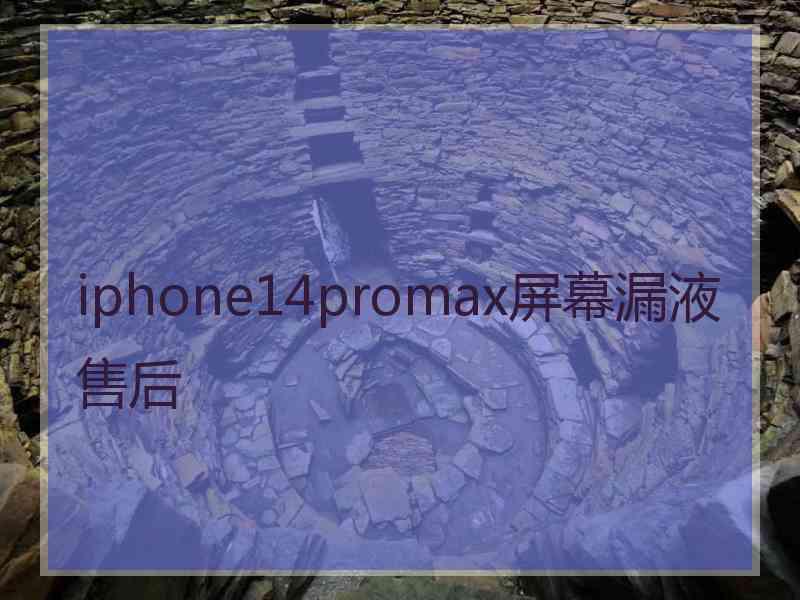 iphone14promax屏幕漏液售后