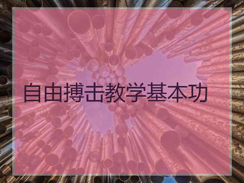 自由搏击教学基本功