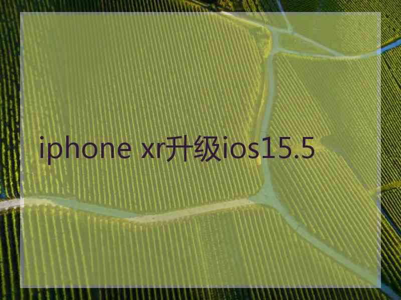 iphone xr升级ios15.5