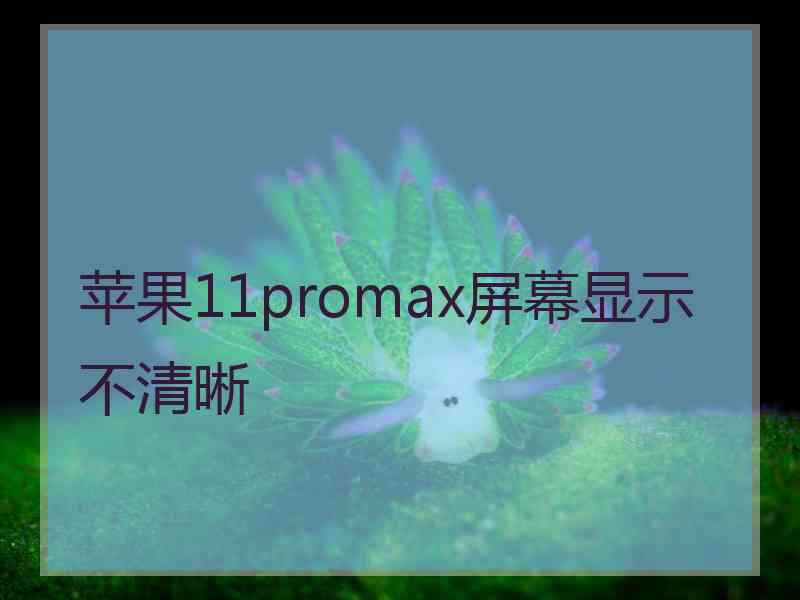 苹果11promax屏幕显示不清晰