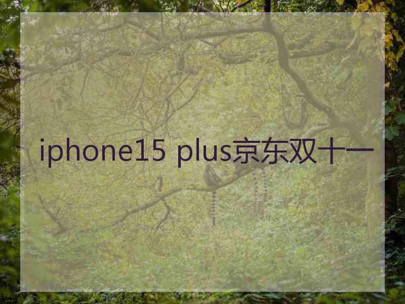 iphone15 plus京东双十一