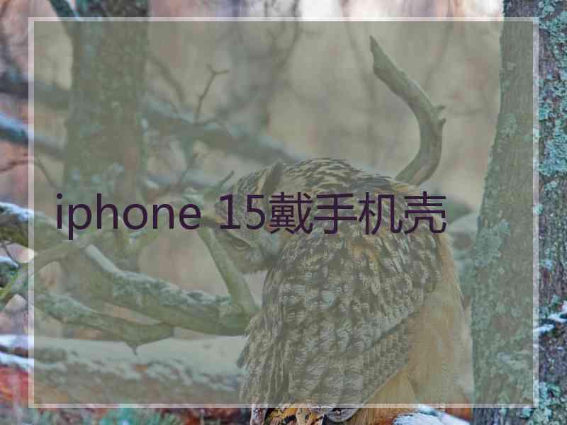 iphone 15戴手机壳