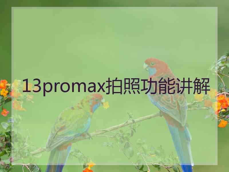 13promax拍照功能讲解