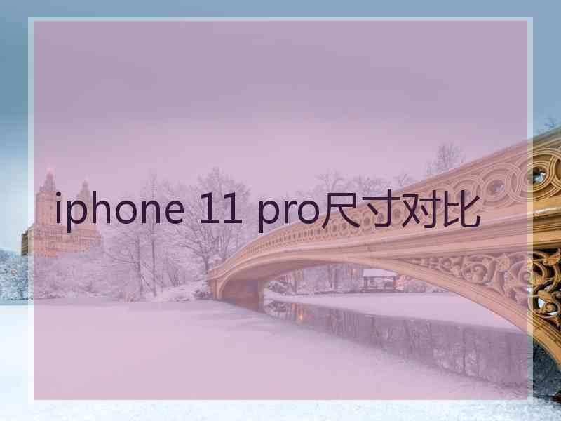 iphone 11 pro尺寸对比