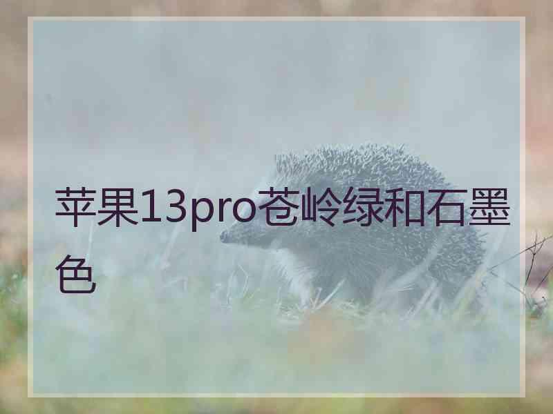 苹果13pro苍岭绿和石墨色