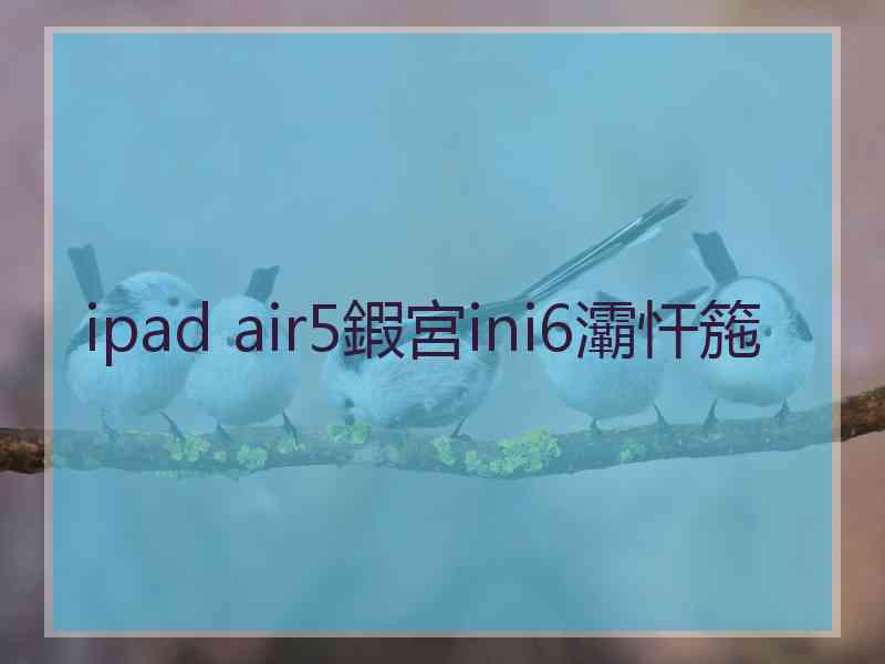 ipad air5鍜宮ini6灞忓箷