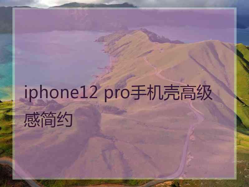 iphone12 pro手机壳高级感简约