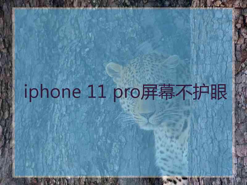 iphone 11 pro屏幕不护眼