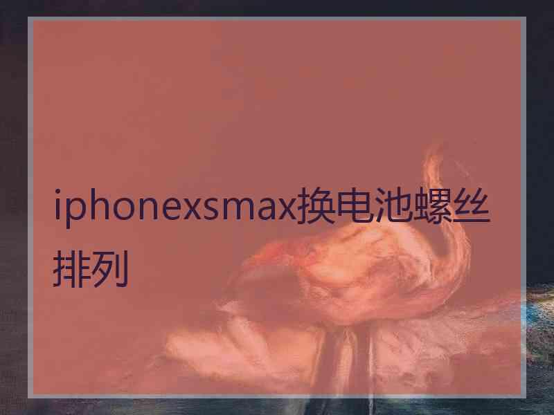 iphonexsmax换电池螺丝排列