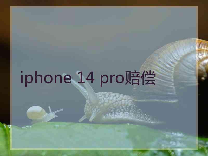 iphone 14 pro赔偿