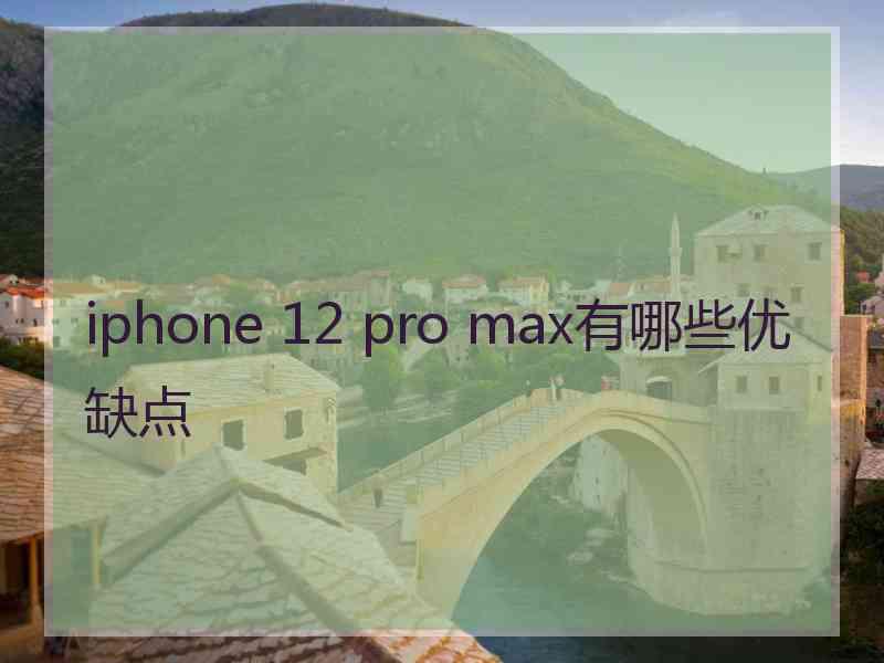 iphone 12 pro max有哪些优缺点