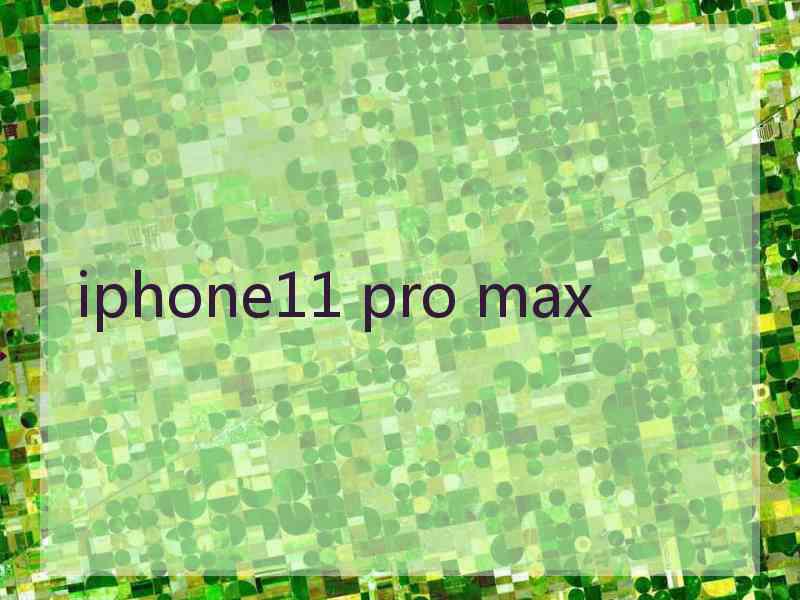 iphone11 pro max