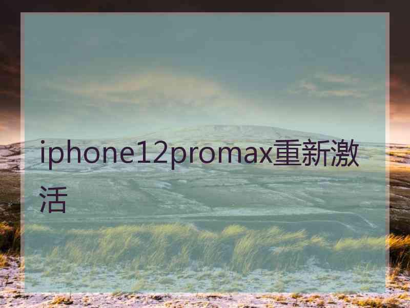 iphone12promax重新激活