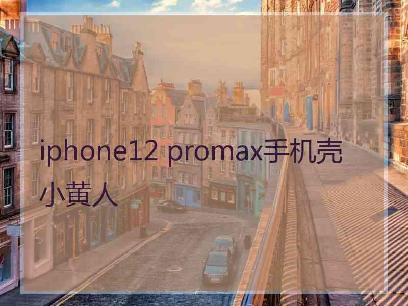 iphone12 promax手机壳小黄人