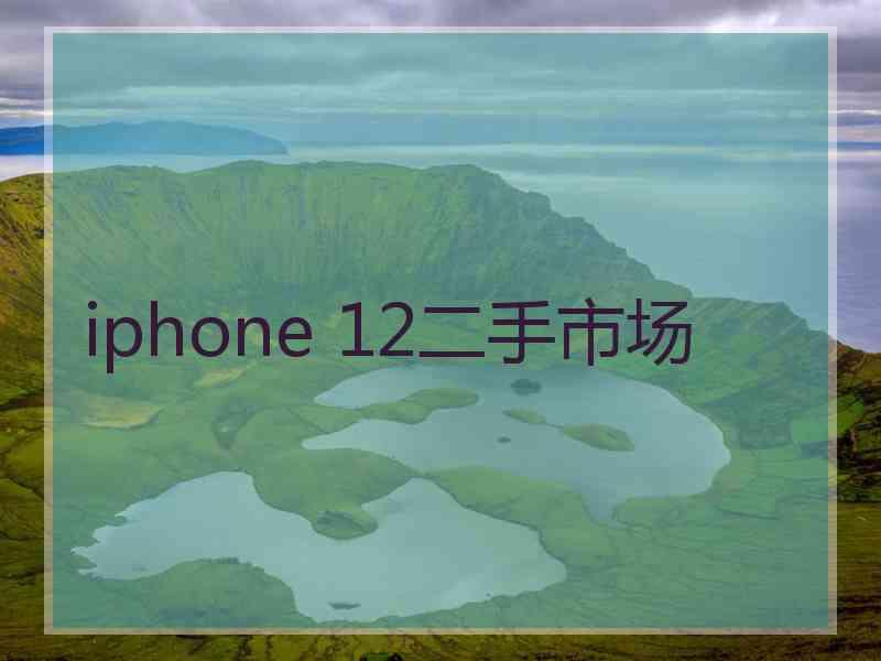 iphone 12二手市场