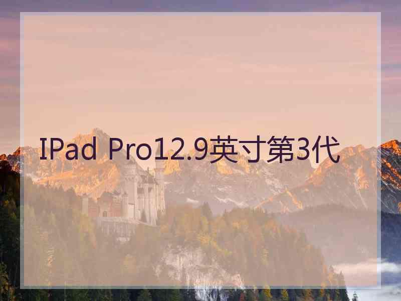 IPad Pro12.9英寸第3代