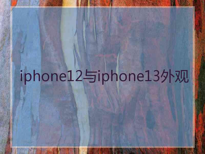 iphone12与iphone13外观