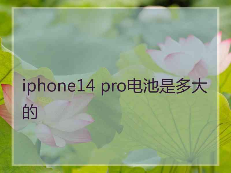 iphone14 pro电池是多大的