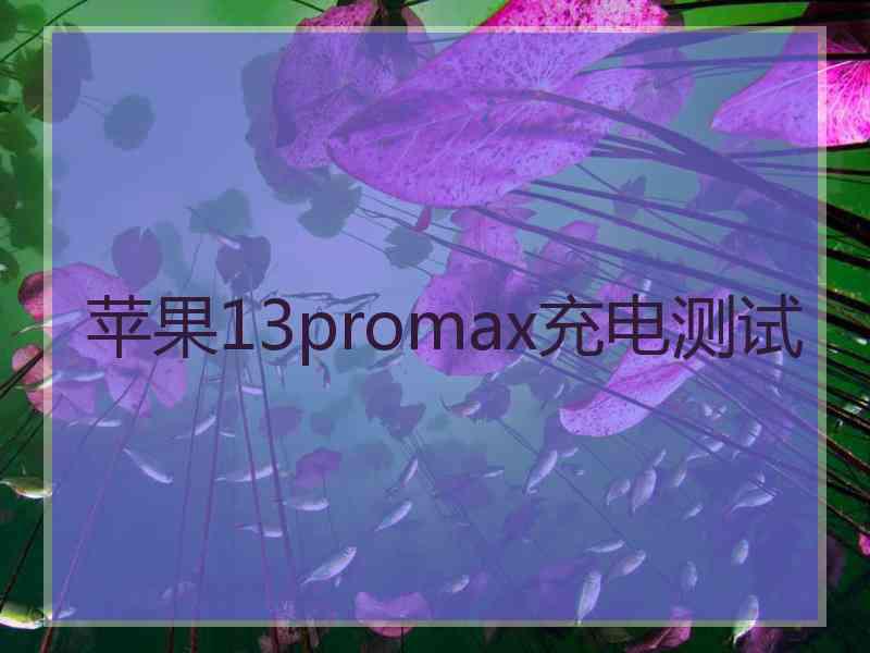 苹果13promax充电测试