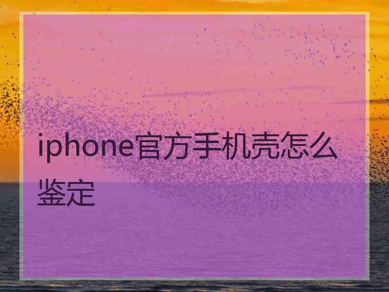 iphone官方手机壳怎么鉴定