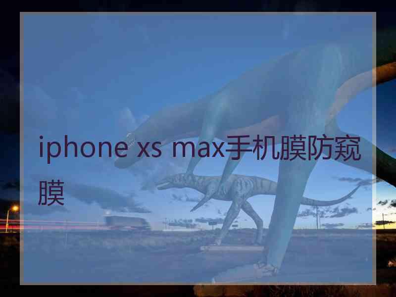 iphone xs max手机膜防窥膜