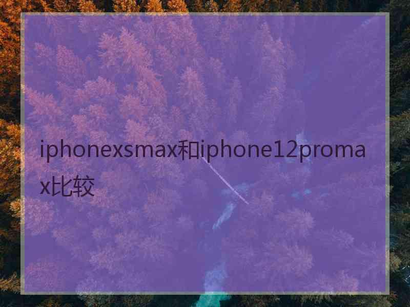 iphonexsmax和iphone12promax比较