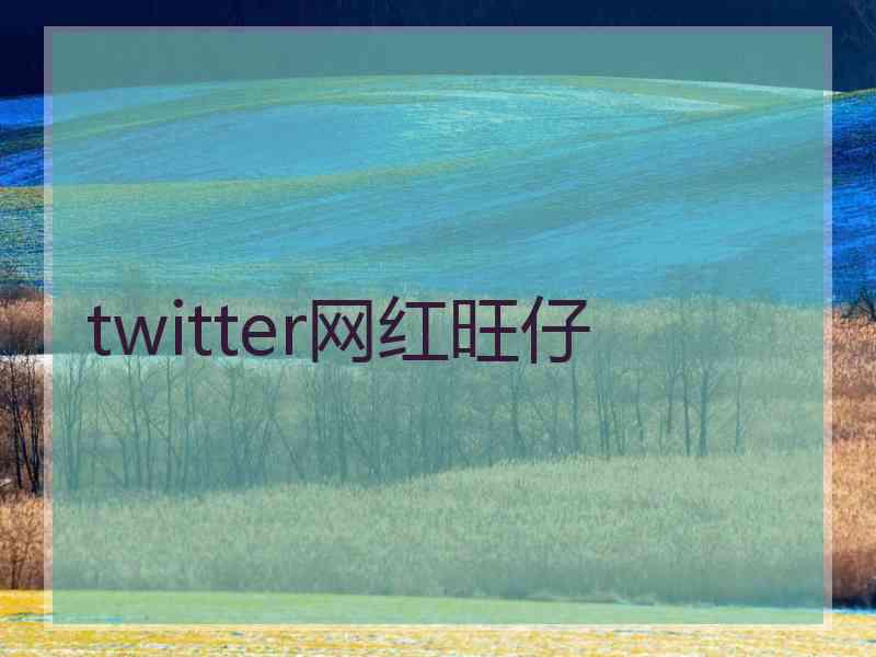 twitter网红旺仔