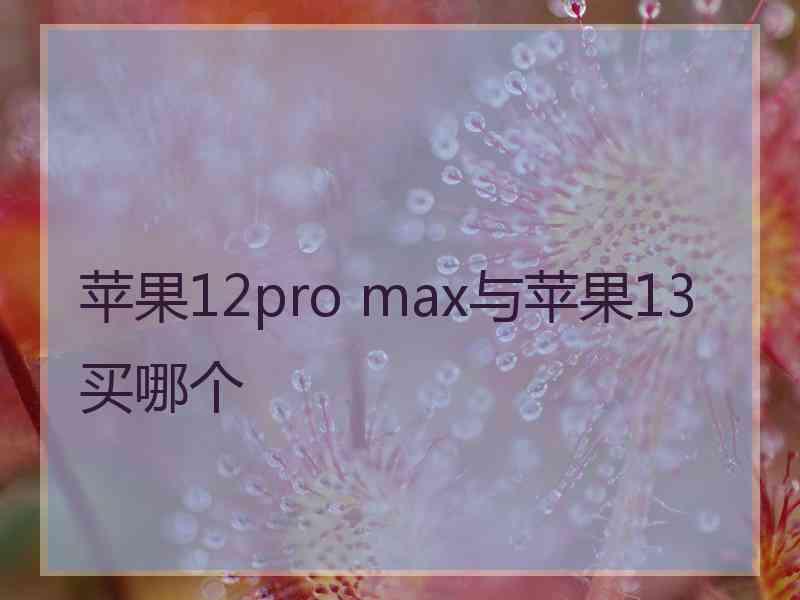 苹果12pro max与苹果13买哪个