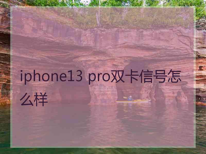 iphone13 pro双卡信号怎么样