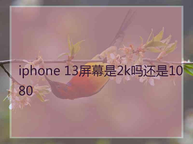 iphone 13屏幕是2k吗还是1080