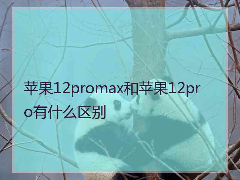 苹果12promax和苹果12pro有什么区别